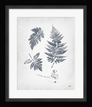 Framed Walk in the Woods II Print