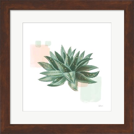 Framed Desert Color Succulent II Mint Print