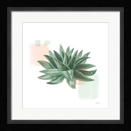 Framed Desert Color Succulent II Mint Print