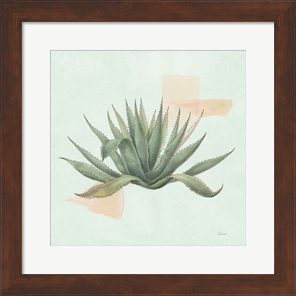 Framed Desert Color Succulent I Mint Print