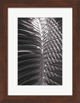Framed Palm Detail I BW Print