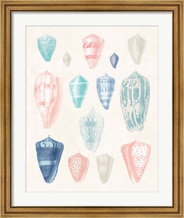 Framed Colorful Shell Assortment I Coral Cove Print