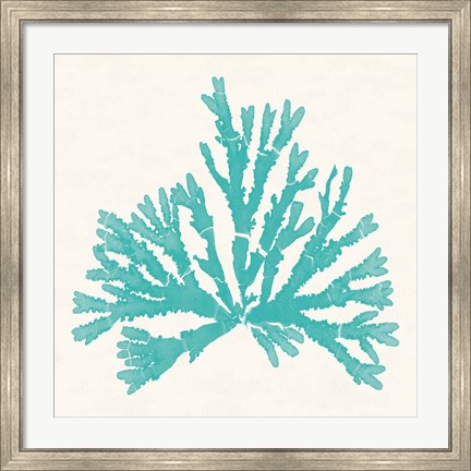 Framed Pacific Sea Mosses IV Aqua Print