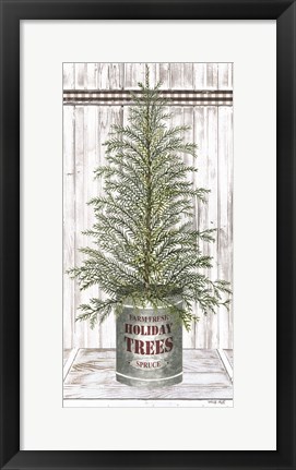 Framed Galvanized Pot Spruce Print