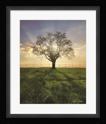 Framed Morning Shadows Print