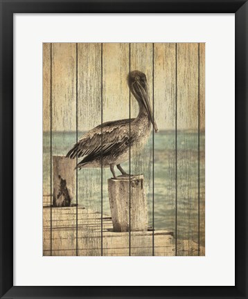 Framed Vintage Pelican I Print