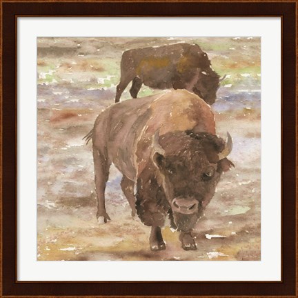 Framed Great Buffalo Print