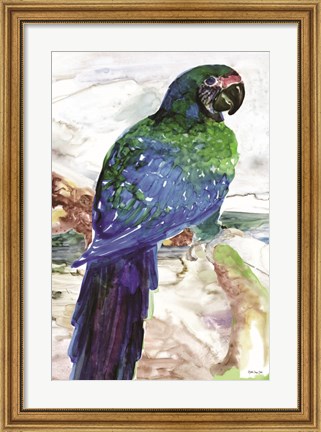 Framed Blue Parrot on Branch 1 Print
