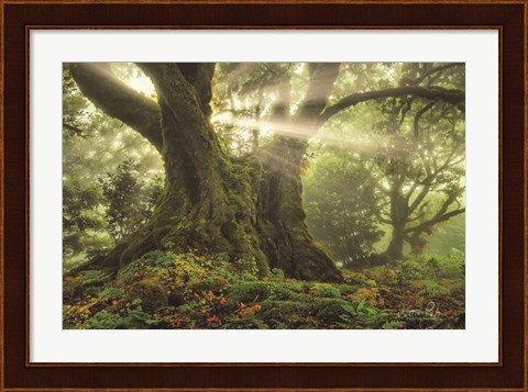 Framed One-Two Tree Print