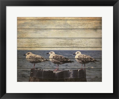 Framed Vintage Seagulls Print