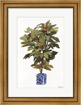 Framed Fig Tree 2 Print