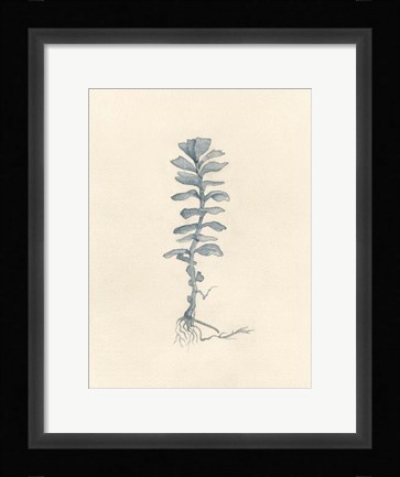 Framed Uprooted I Print