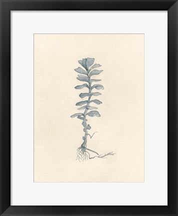 Framed Uprooted I Print
