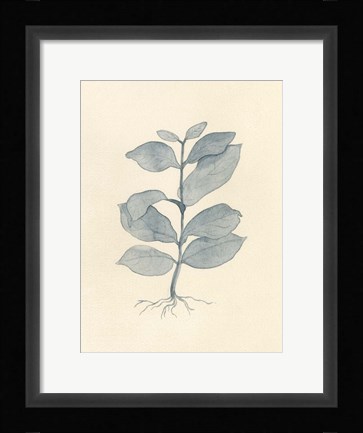 Framed Uprooted II Print