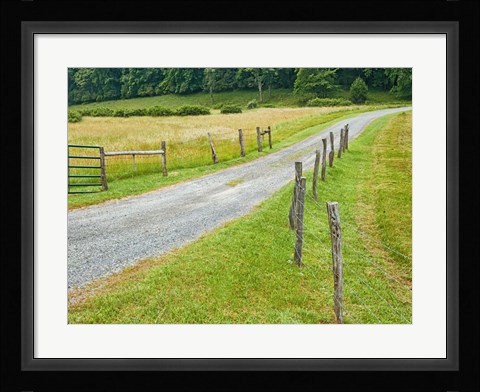 Framed Country Road Photo III Print