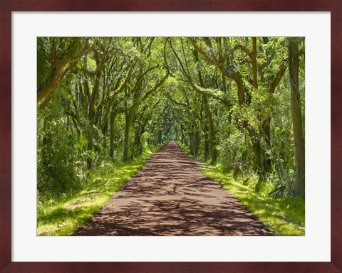 Framed Country Road Photo IV Print