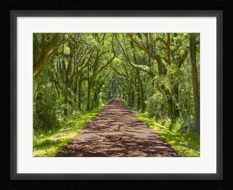 Framed Country Road Photo IV Print