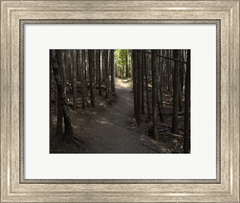 Framed Country Road Photo VI Print