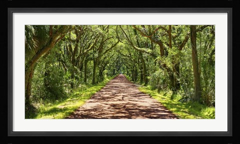 Framed Country Road Photo VII Print