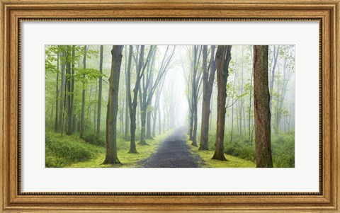 Framed Country Road Photo VIII Print