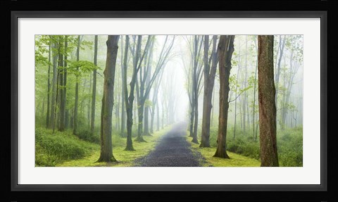 Framed Country Road Photo VIII Print