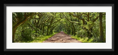 Framed Country Road Panorama IV Print