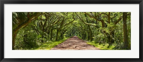 Framed Country Road Panorama IV Print