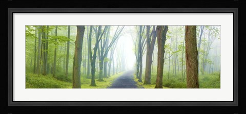 Framed Country Road Panorama V Print