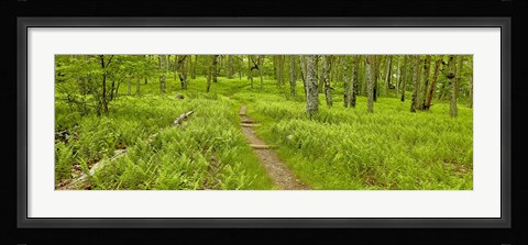 Framed Country Road Panorama VI Print