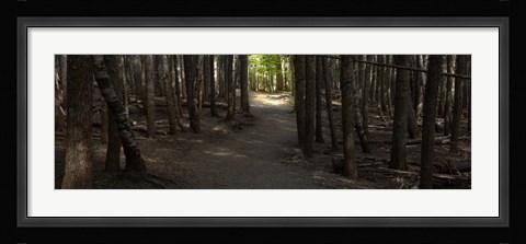 Framed Country Road Panorama VII Print