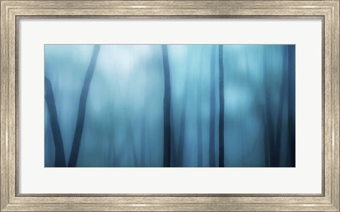 Framed Harriman Woods I Print