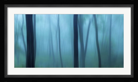 Framed Harriman Woods II Print