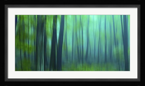Framed Harriman Woods III Print