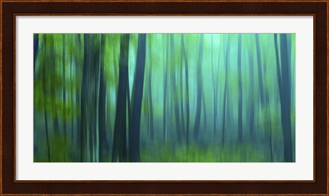 Framed Harriman Woods III Print