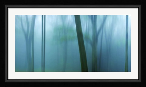 Framed Harriman Woods IV Print