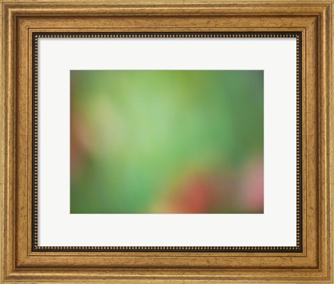 Framed Soft Landscape VIII Print