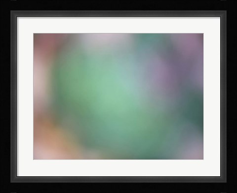 Framed Soft Landscape IX Print