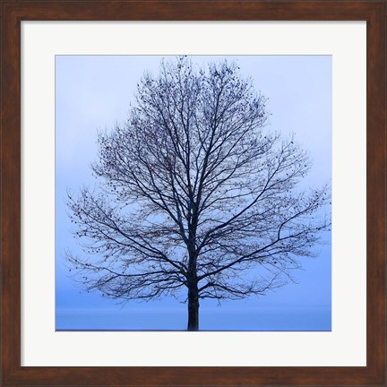 Framed November Tree Print