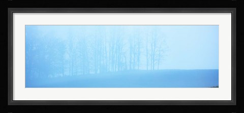 Framed Tree Panorama II Print