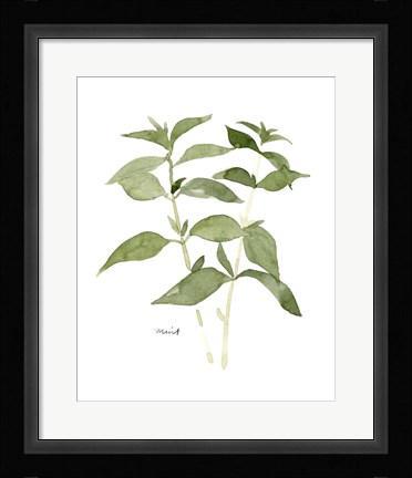 Framed Herb Garden Sketches I Print