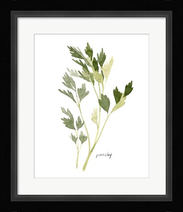 Framed Herb Garden Sketches II Print