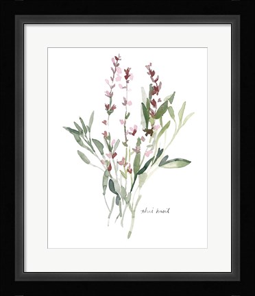 Framed Herb Garden Sketches V Print