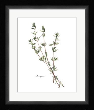 Framed Herb Garden Sketches VI Print