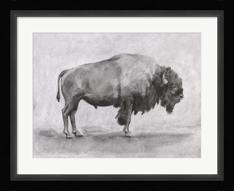 Framed Wild Bison Study I Print