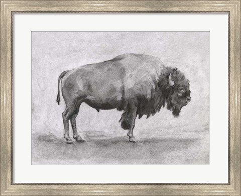 Framed Wild Bison Study I Print