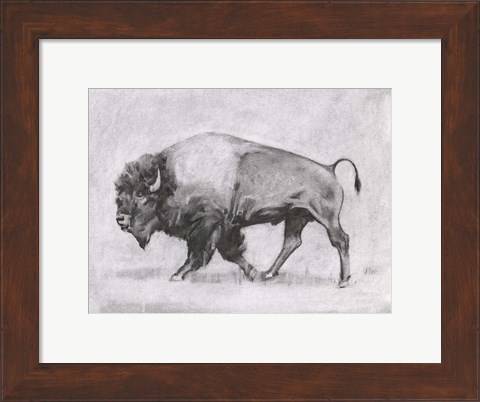 Framed Wild Bison Study II Print