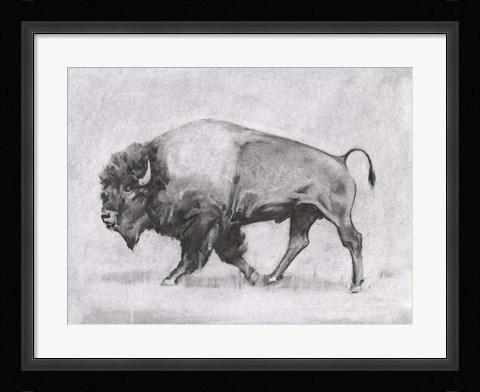 Framed Wild Bison Study II Print