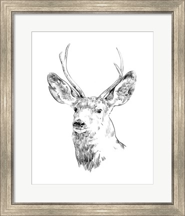 Framed Young Buck Sketch IV Print