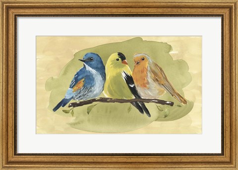Framed Bird Perch I Print