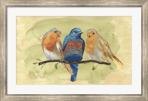 Framed Bird Perch II Print